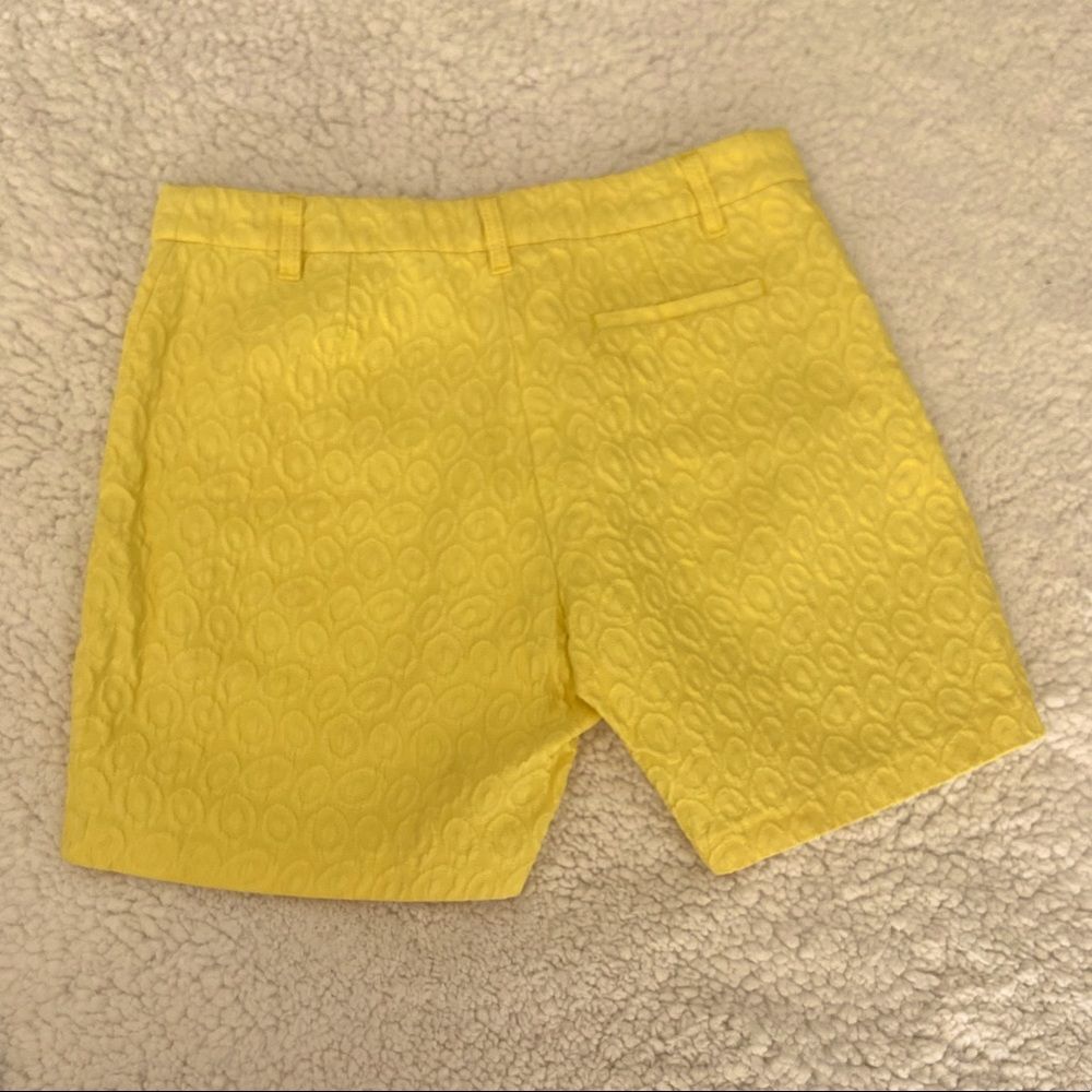 Anthropologie Annie P Shorts - Picture 5 of 9